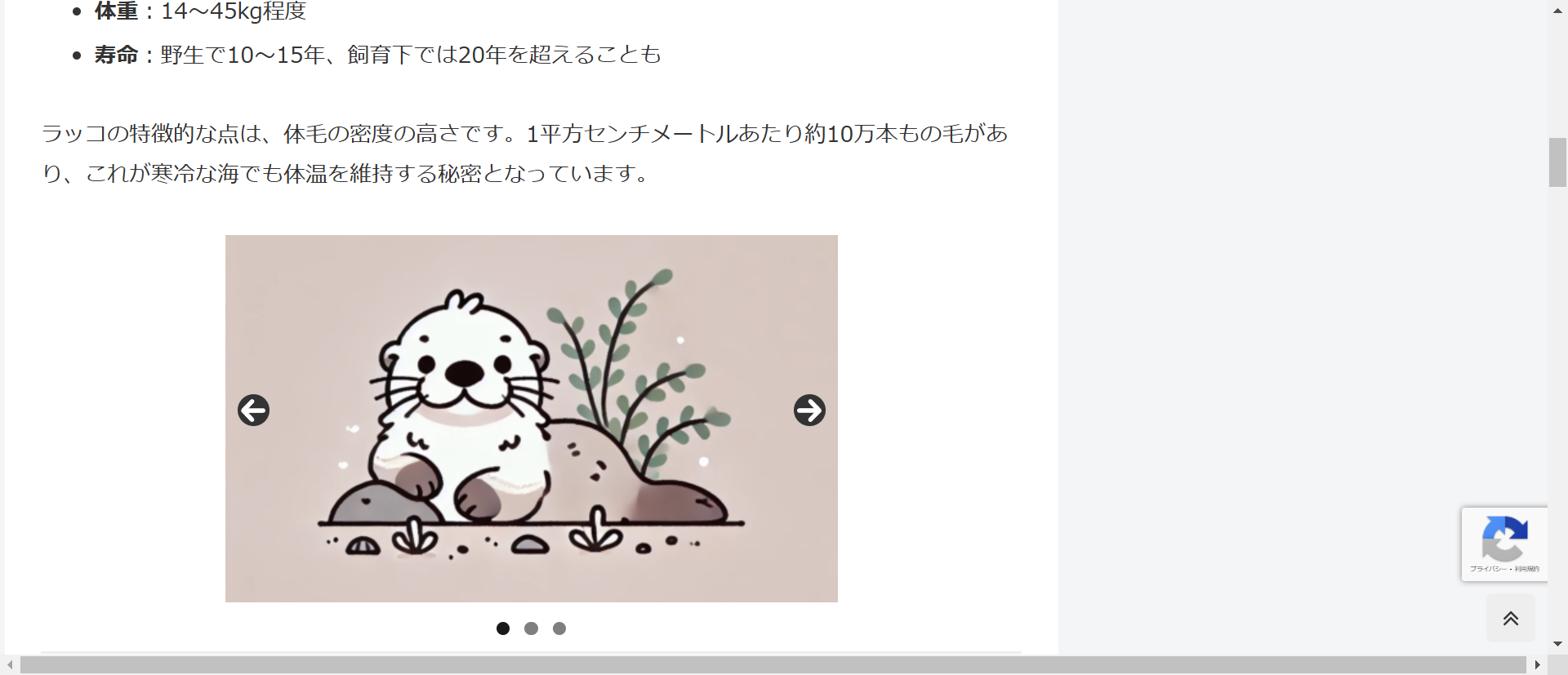 WordPress】スライドショーをサイトに設定する方法（MetaSlider
