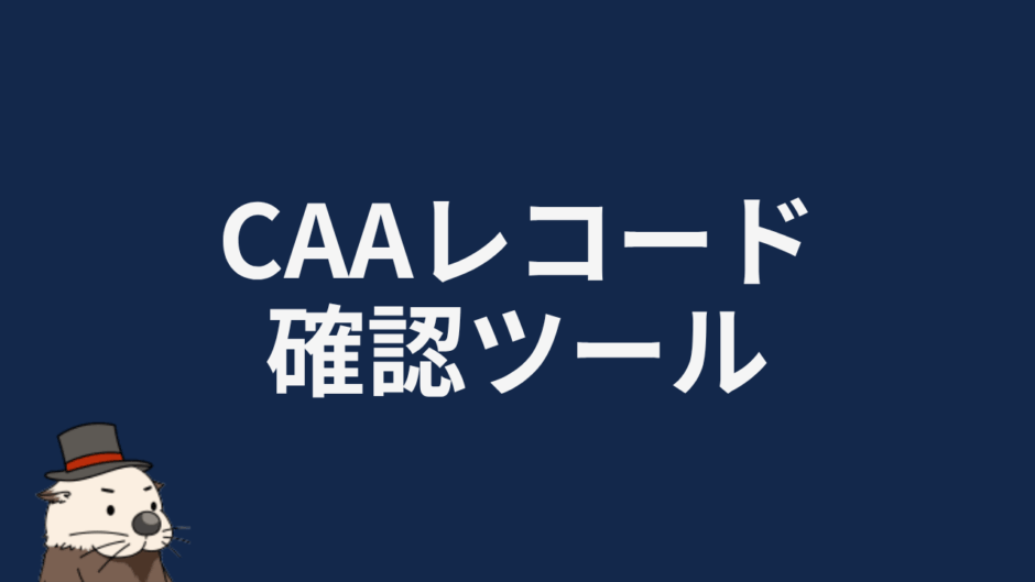 CAAレコード確認ツール