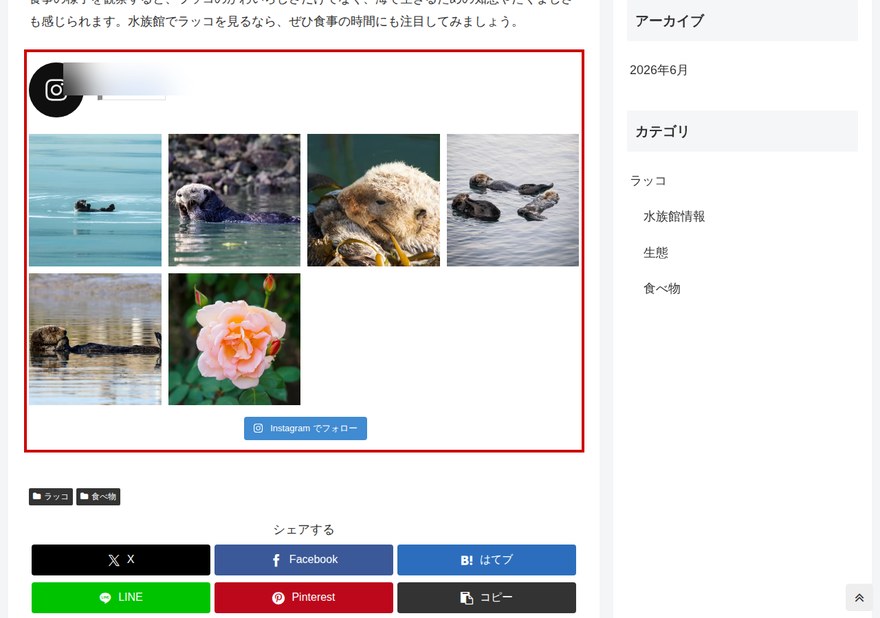 WordPressページ—InstagramフィードをWordPressに埋め込んだ状態