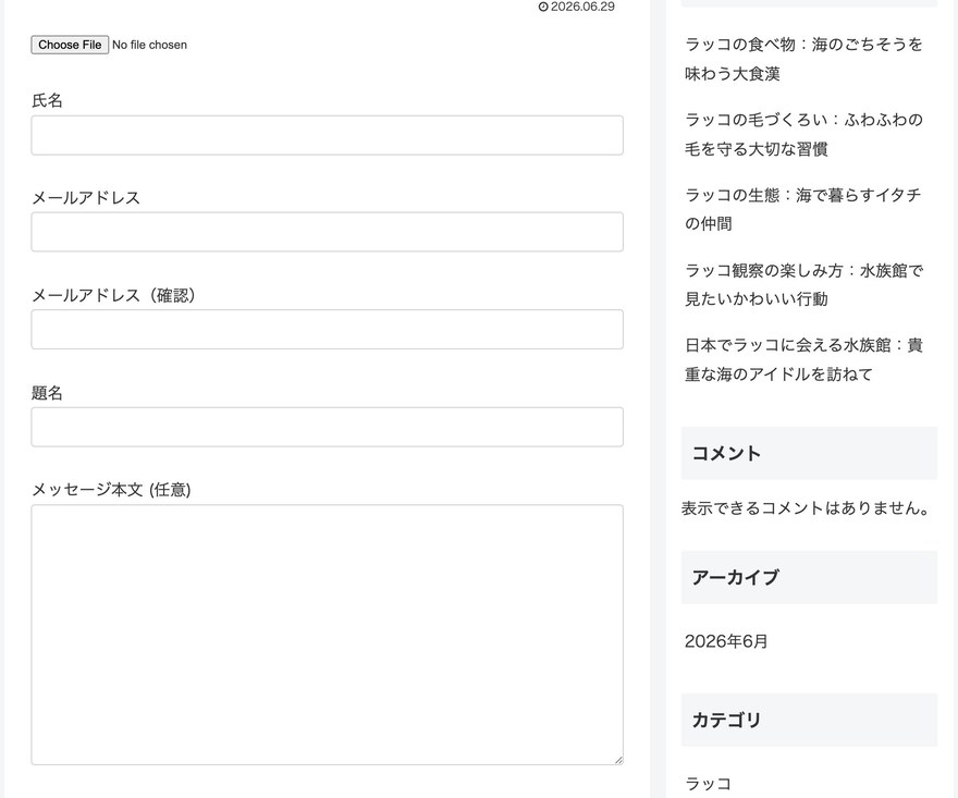 CF7フォームのフロントエンド表示—メールアドレス確認フィールドが追加された状態